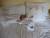c quand meme mieux dans le lit de papa et maman!!!!!